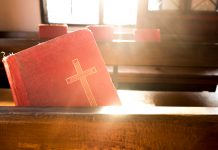 Польська поп-співачка виграла справу в ЄСПЛ про свободу слова