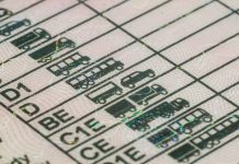 Посвідчення водія у 16 років: у МВС України попередили про шахрайську схему