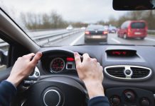 Що робити у разі втрати номерного знака в Україні